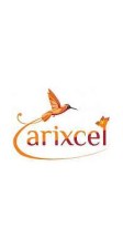 Arixcel Explorer